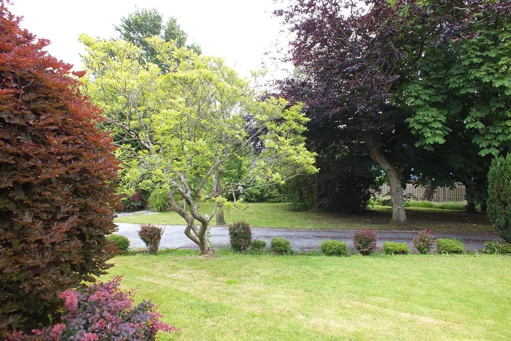 Llwyn Country House Llanelli Extérieur photo